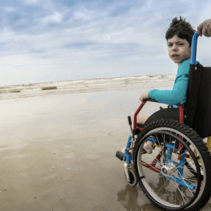  wheelchair accessible redwood hikes